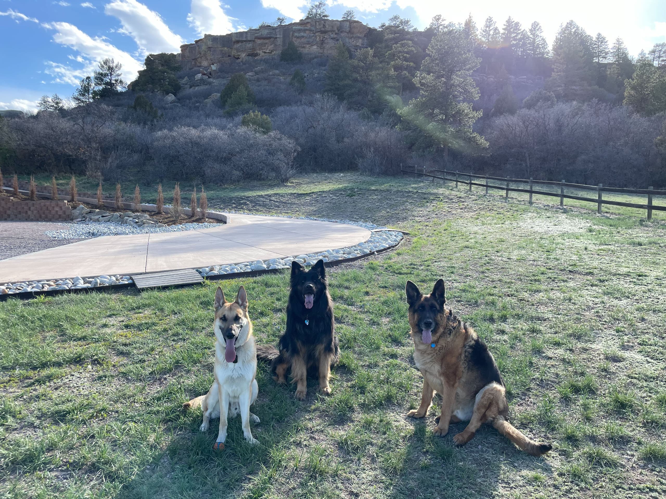 Dog owner working with trainer during a session