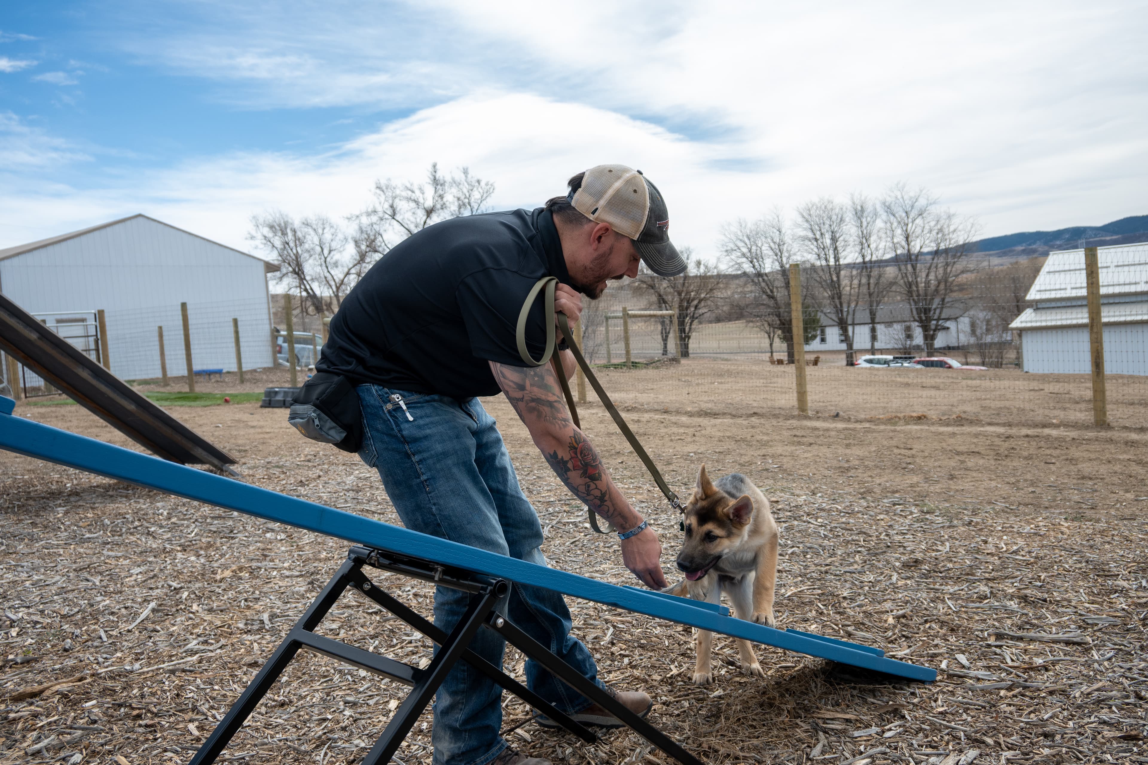 Happy dog after training sessions with Deborah