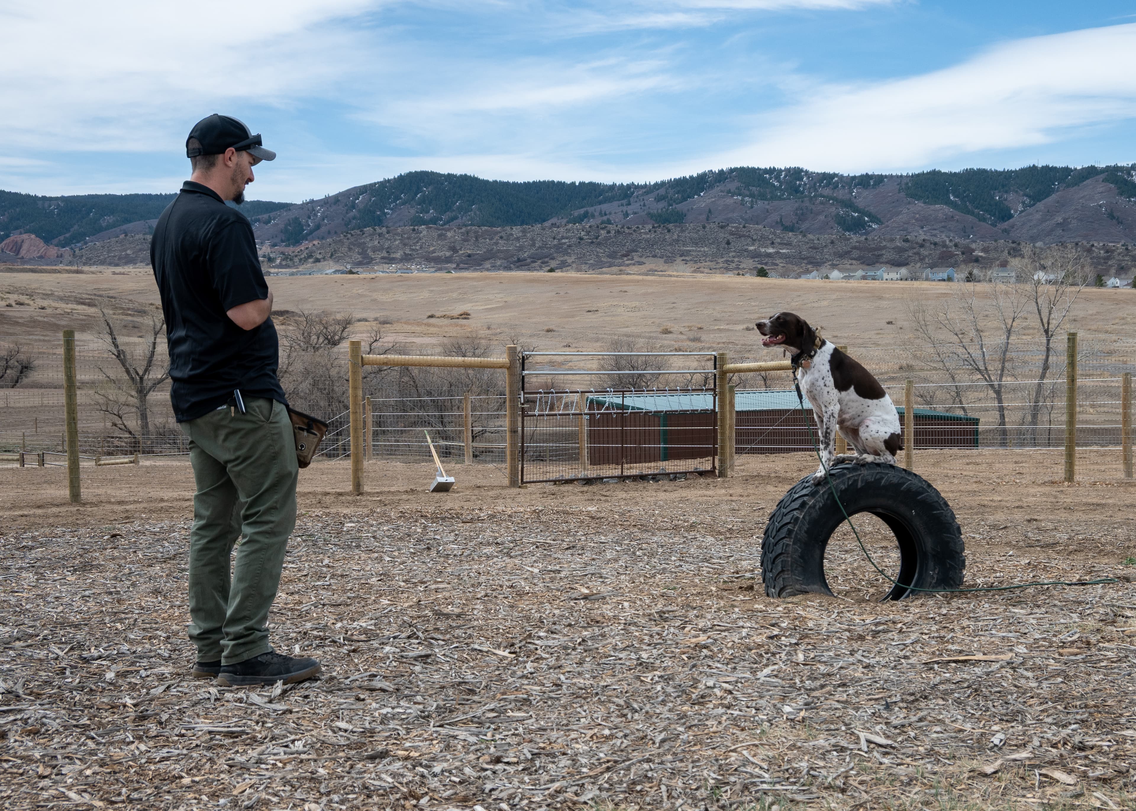 Maddie the dog enjoying a training session
